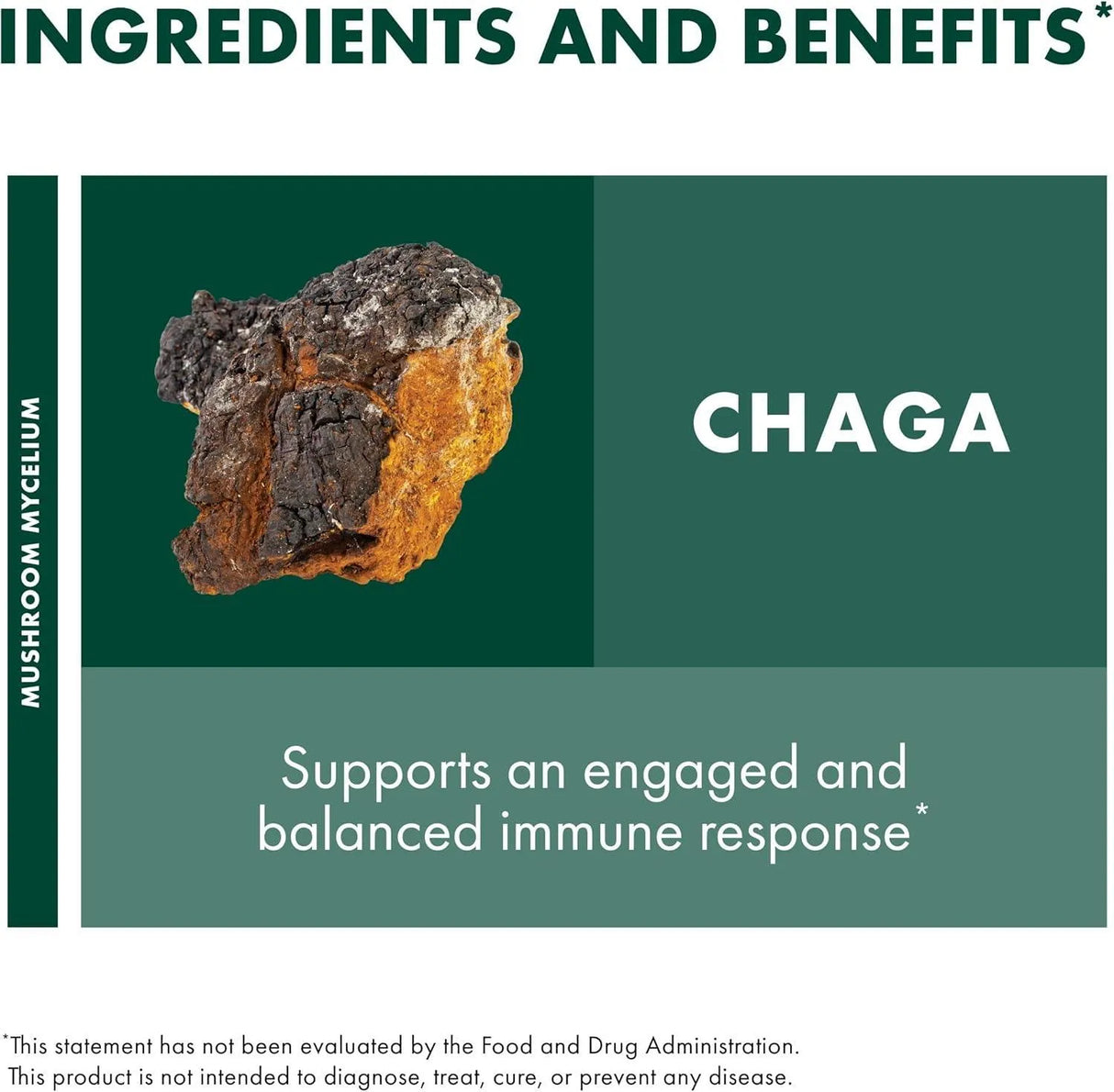 HOST DEFENSE - Host Defense Chaga Extract 1 Fl.Oz. - The Red Vitamin MX - Suplementos Alimenticios - {{ shop.shopifyCountryName }}