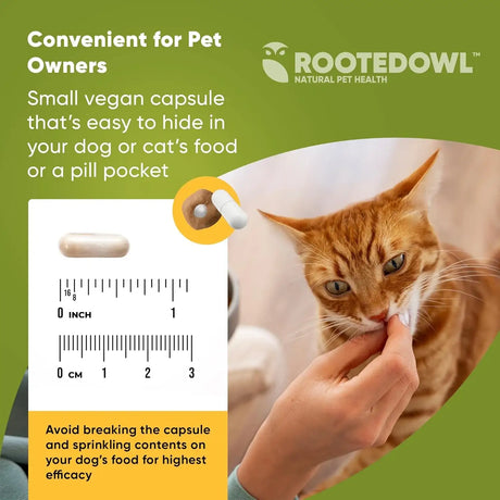 ROOTED OWL - Rooted Owl Joint and Muscle Support for Cats and Small Dogs 30 Capsulas - The Red Vitamin MX - Cuidado De Cadera Y Articulaciones Para Perros - {{ shop.shopifyCountryName }}