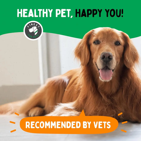 TUMMYWORKS - TummyWorks Probiotic Soft Chews for Dogs 120 Masticables - The Red Vitamin MX - Probióticos Para Perros - {{ shop.shopifyCountryName }}