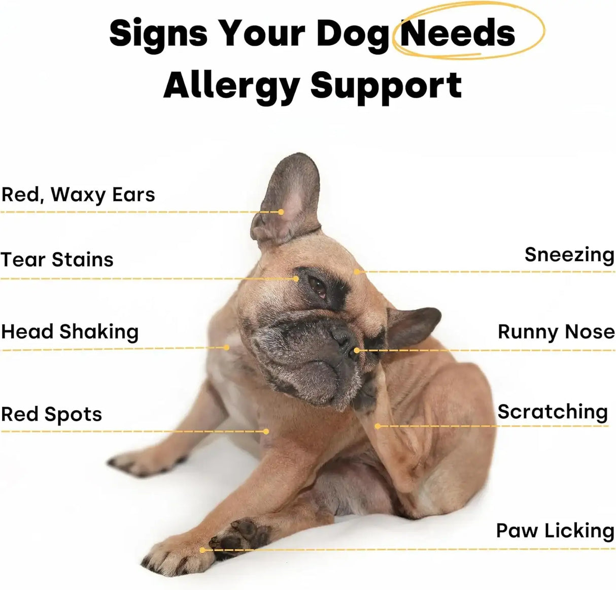 KAYODE - Kayode Itch & Allergy Natural Dog Allergy Chews 90 Masticables - The Red Vitamin MX - Remedios Para La Picazón De Perros - {{ shop.shopifyCountryName }}