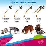 BELOVED PETS - Beloved Pets Cat & Dog Urinary Tract 2 Fl.Oz. - The Red Vitamin MX - Salud De Tracto Urinario Para Perros - {{ shop.shopifyCountryName }}