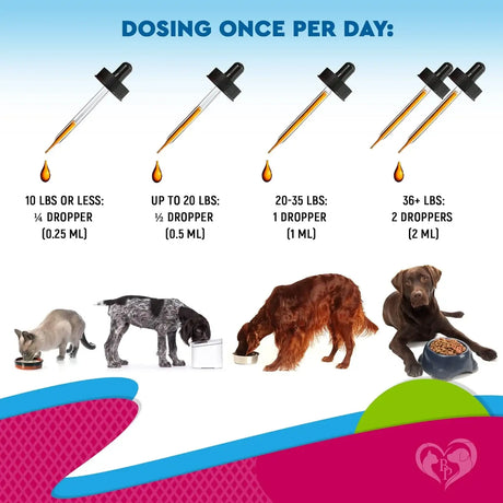 BELOVED PETS - Beloved Pets Cat & Dog Urinary Tract 2 Fl.Oz. - The Red Vitamin MX - Salud De Tracto Urinario Para Perros - {{ shop.shopifyCountryName }}