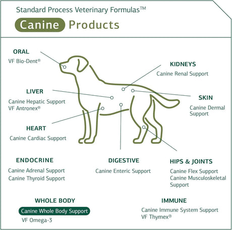 STANDARD PROCESS - Standard Process Inc. Canine Whole Body Support 100Gr. - The Red Vitamin MX - Multivitamínicos Para Perros - {{ shop.shopifyCountryName }}
