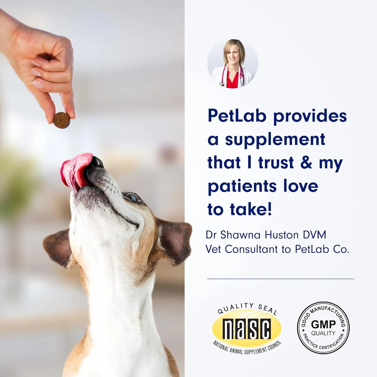 PETLAB CO. - PetLab Co. Allergy & Immune Daily Probiotics Large Size Dogs 30 Masticables - The Red Vitamin MX - Probióticos Para Perros - {{ shop.shopifyCountryName }}