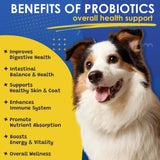 SHINEPAWS - SHINEPAWS Probiotics for Dogs 120 Masticables - The Red Vitamin MX - Probióticos Para Perros - {{ shop.shopifyCountryName }}