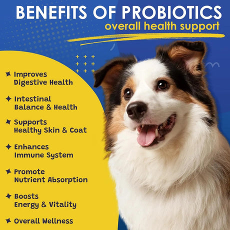 SHINEPAWS - SHINEPAWS Probiotics for Dogs 120 Masticables - The Red Vitamin MX - Probióticos Para Perros - {{ shop.shopifyCountryName }}