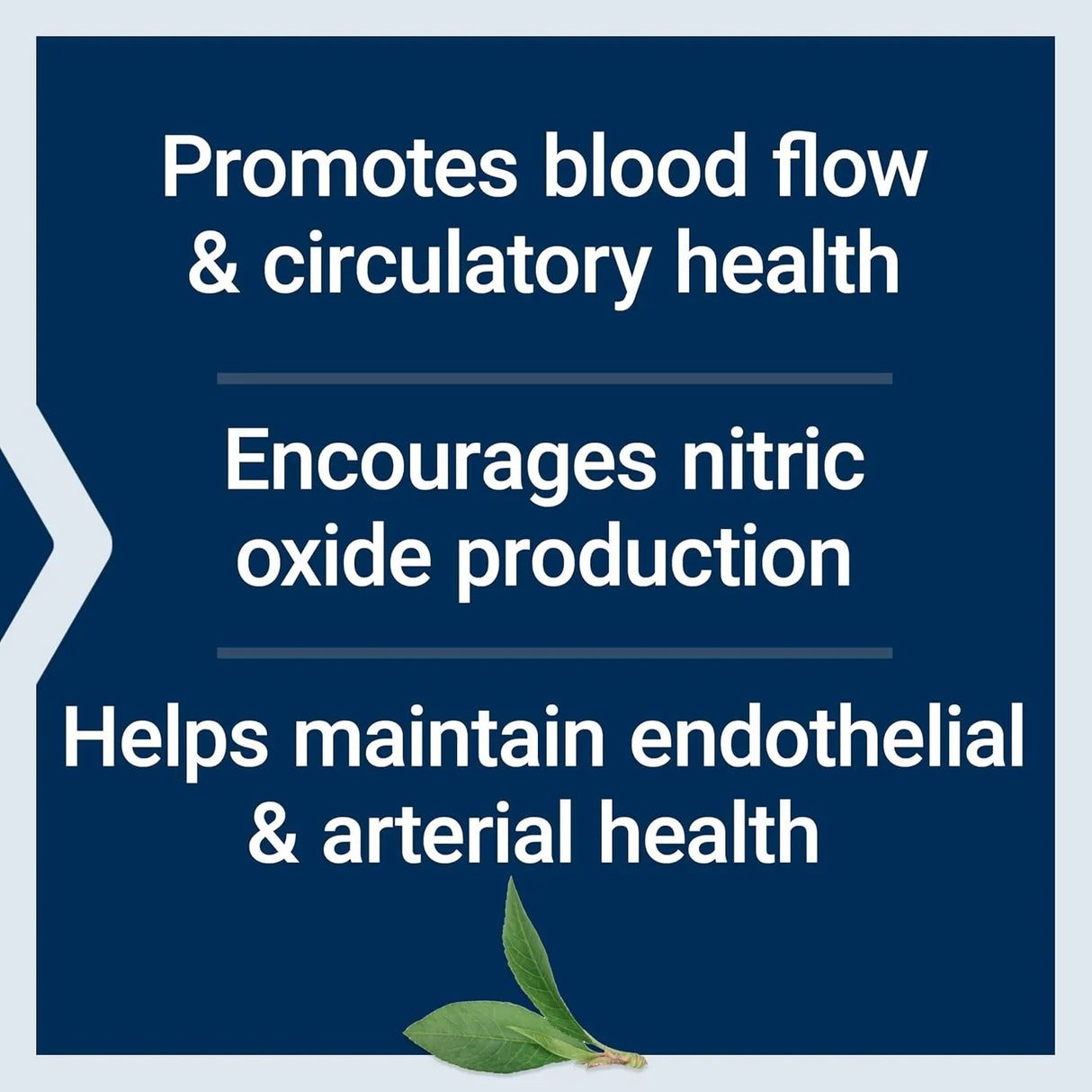 LIFE EXTENSION - Life Extension NitroVasc Boost 30 Servicios 78.6Gr. - The Red Vitamin MX - Suplementos Alimenticios - {{ shop.shopifyCountryName }}