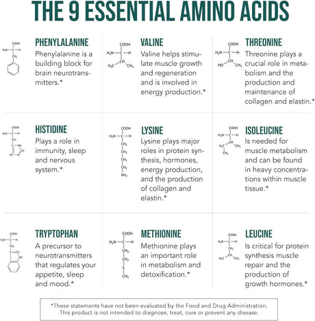 TRIQUETRA - Triquetra Health Plant Aminos Organic Essential Amino Acids EAAs & BCAA 360 Tabletas - The Red Vitamin MX - Suplementos Alimenticios - {{ shop.shopifyCountryName }}