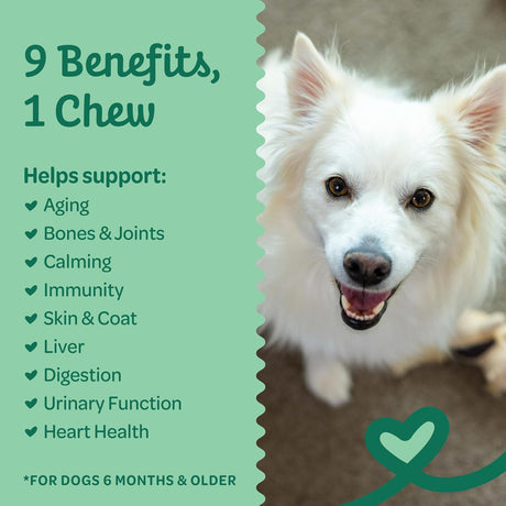 WHOLESOME PRIDE - Wholesome Pride 9-in-1 Dog Multifunctional Soft Chews 90 Masticables - The Red Vitamin MX - Suplementos Herbales Para Perros - {{ shop.shopifyCountryName }}