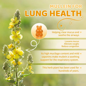 BUNKKA - Bunkka Mullein Leaf Extract for Lung Cleanse 60 Gomitas 2 Pack - The Red Vitamin MX - Suplementos Alimenticios - {{ shop.shopifyCountryName }}