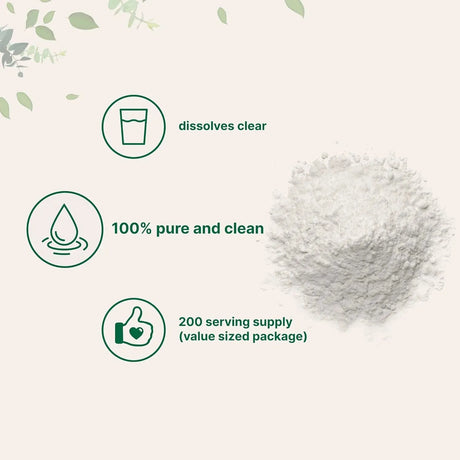 MICRO INGREDIENTS - Micro Ingredients Pure D Ribose Powder 1 Kg. - The Red Vitamin MX - Suplementos Alimenticios - {{ shop.shopifyCountryName }}