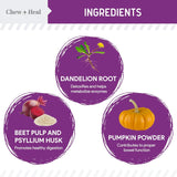 Chew + Heal Labs Stop The Scoot Fiber for Dogs 120 Masticables 2 Pack