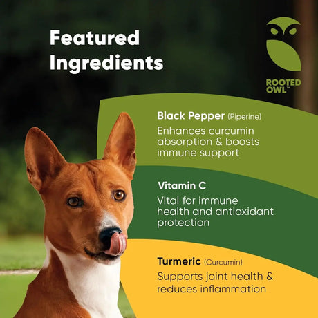ROOTED OWL - Rooted Owl Turmeric Supplement for Dogs 60 Capsulas - The Red Vitamin MX - Cuidado De Cadera Y Articulaciones Para Perros - {{ shop.shopifyCountryName }}