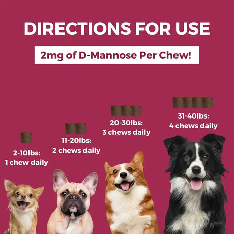 NOOTIE - Nootie Progility Mini Urinary Support Supplement for Dogs 60 Masticables - The Red Vitamin MX - Salud De Tracto Urinario Para Perros - {{ shop.shopifyCountryName }}
