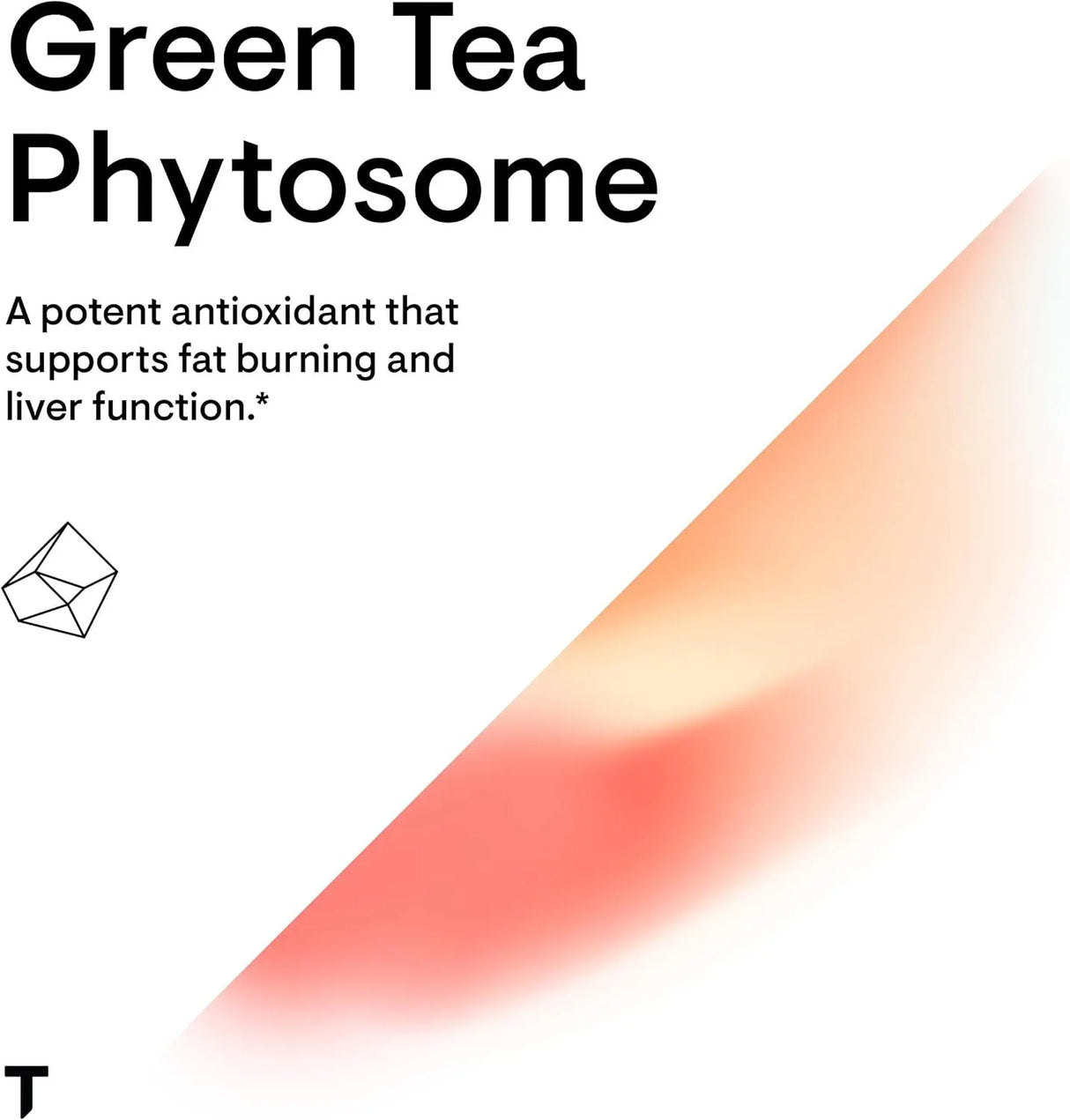 THORNE RESEARCH - THORNE Green Tea Phytosome 60 Capsulas - The Red Vitamin MX - Suplementos Alimenticios - {{ shop.shopifyCountryName }}