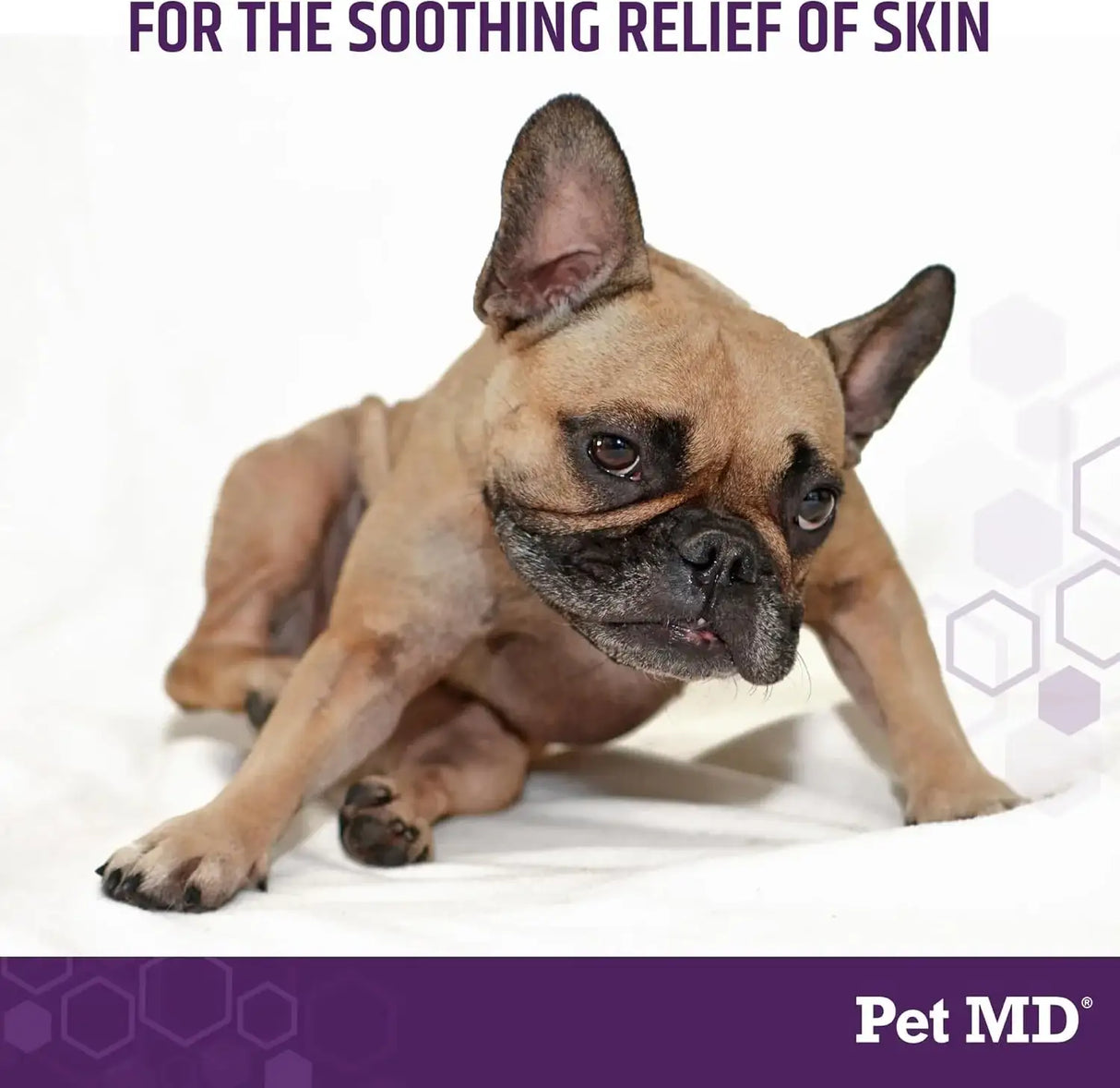 PET MD - Pet MD All-in-One Derm Care Hypochlorous Acid Spray for Dogs & All Pets 8 Fl.Oz. - The Red Vitamin MX - Remedios Para La Picazón De Perros - {{ shop.shopifyCountryName }}
