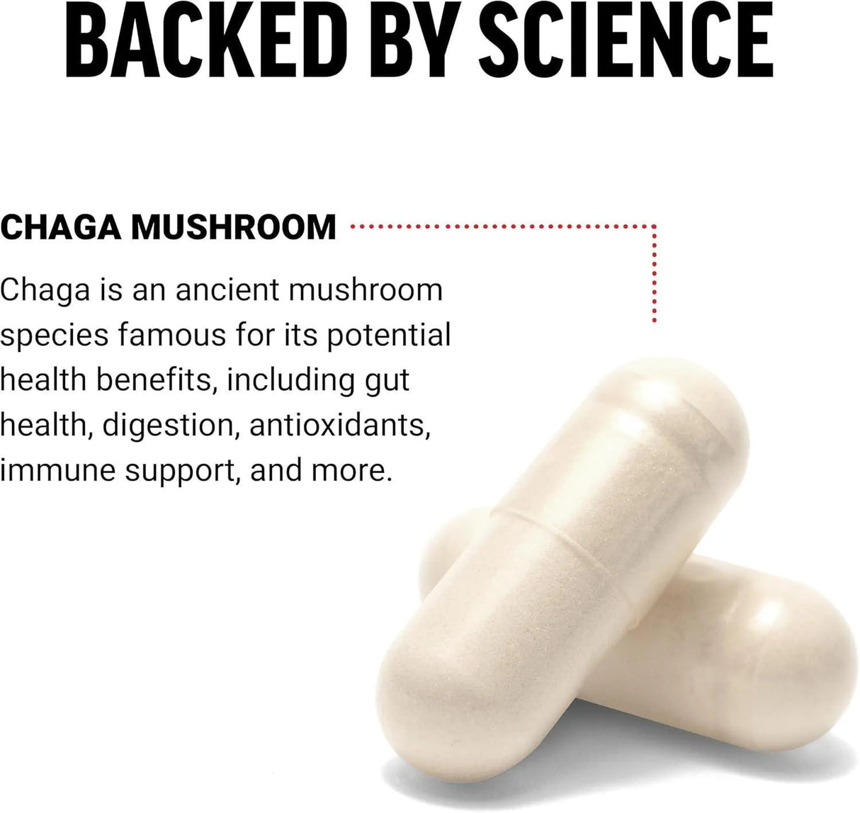 FORCE FACTOR - FORCE FACTOR Chaga Mushrooms 120 Capsulas - The Red Vitamin MX - Suplementos Alimenticios - {{ shop.shopifyCountryName }}