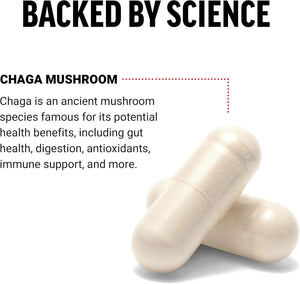 FORCE FACTOR - FORCE FACTOR Chaga Mushrooms 120 Capsulas - The Red Vitamin MX - Suplementos Alimenticios - {{ shop.shopifyCountryName }}