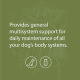 STANDARD PROCESS - Standard Process Inc. Canine Whole Body Support 25Gr. - The Red Vitamin MX - Multivitamínicos Para Perros - {{ shop.shopifyCountryName }}