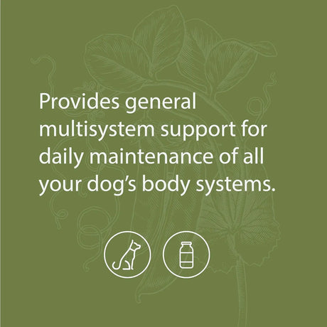 STANDARD PROCESS - Standard Process Inc. Canine Whole Body Support 100Gr. - The Red Vitamin MX - Multivitamínicos Para Perros - {{ shop.shopifyCountryName }}