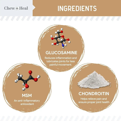 CHEW + HEAL - Chew + Heal Labs Glucosamine Hip and Joint Supplement for Dogs 90 Masticables - The Red Vitamin MX - Cuidado De Cadera Y Articulaciones Para Perros - {{ shop.shopifyCountryName }}