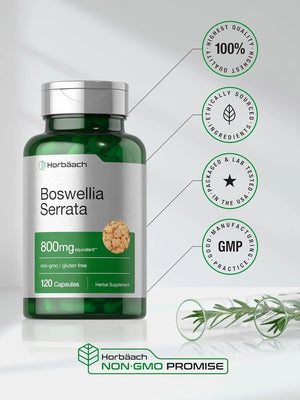 HORBAACH - Horbaach Boswellia Serrata Extract 800Mg. 120 Capsulas - The Red Vitamin MX - Suplementos Alimenticios - {{ shop.shopifyCountryName }}