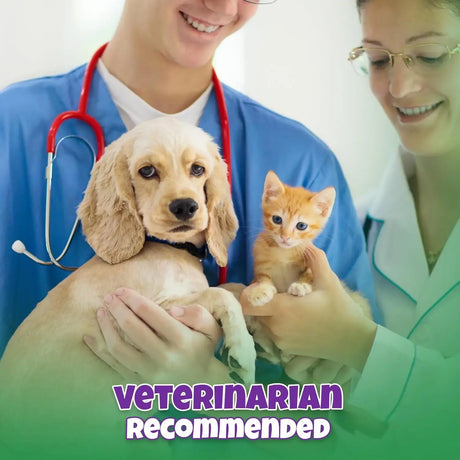 LIVELY TAILS - Lively Tails Natural Dog & Cat UTI Treatment with Cranberry & D-Mannose 2 Fl.Oz. - The Red Vitamin MX - Salud De Tracto Urinario Para Perros - {{ shop.shopifyCountryName }}