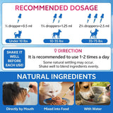 WEALLIN - WEALLIN Cat & Dog Natural Urinary Tract Infection Treatment with Cranberry 2 Fl.Oz. - The Red Vitamin MX - Salud De Tracto Urinario Para Perros - {{ shop.shopifyCountryName }}