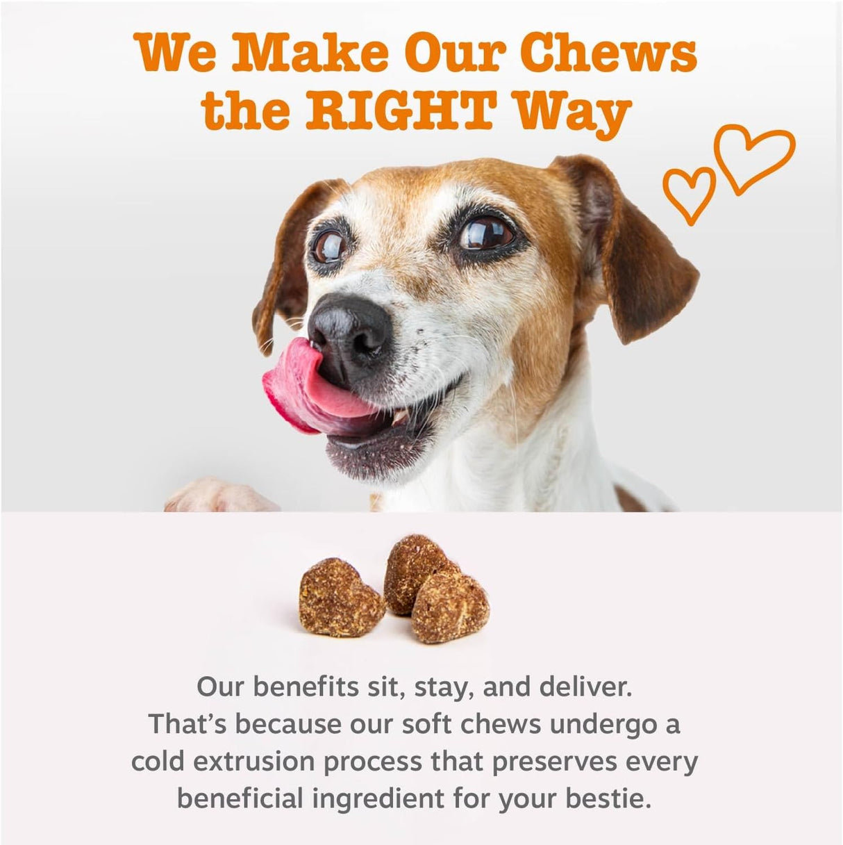 Zesty Paws Cardiovascular Support for Dogs Salmon 90 Masticables