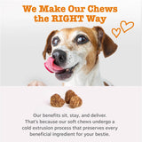 Zesty Paws Cardiovascular Support for Dogs Salmon 90 Masticables