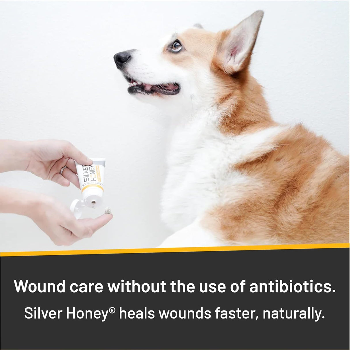 Absorbine Silver Honey Hot Spot & Wound Care Ointment for Dogs 2 Oz.