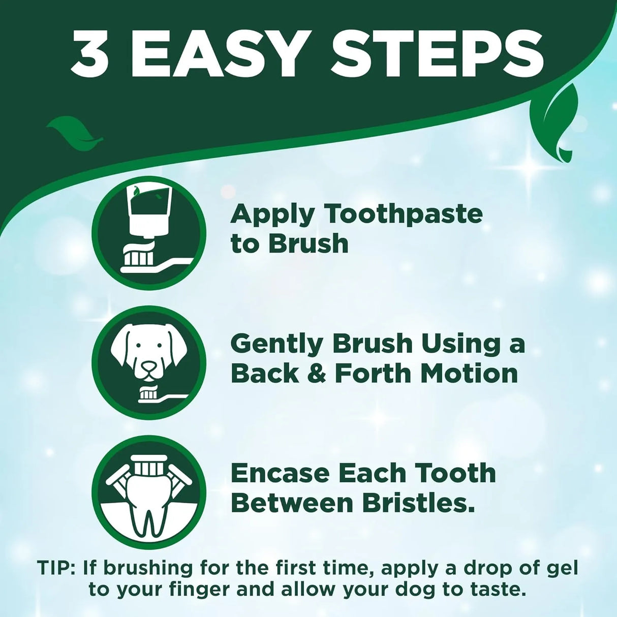 VET'S BEST - Vet's Best Dog Toothpaste & Dog Toothbrush Dental Kit - The Red Vitamin MX - Cuidado Dental Para Perros - {{ shop.shopifyCountryName }}