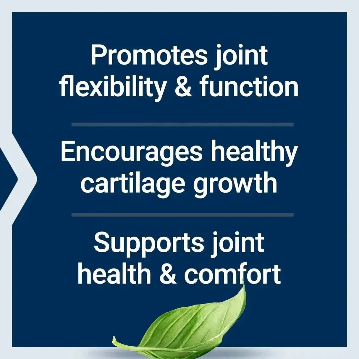 LIFE EXTENSION - Life Extension NT2 Collagen 60 Capsulas - The Red Vitamin MX - Suplementos Alimenticios - {{ shop.shopifyCountryName }}