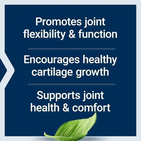 LIFE EXTENSION - Life Extension NT2 Collagen 60 Capsulas - The Red Vitamin MX - Suplementos Alimenticios - {{ shop.shopifyCountryName }}