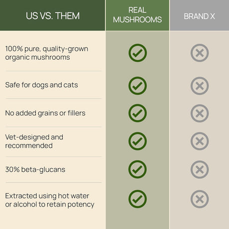REAL MUSHROOMS - Real Mushrooms Turkey Tail Capsules for Pets 90 Capsulas - The Red Vitamin MX - Suplementos Herbales Para Perros - {{ shop.shopifyCountryName }}