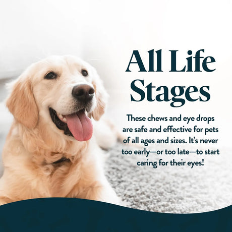 OCLUVET - OcluVet Bundle Eye Supplements for Dogs & Cats - The Red Vitamin MX - Cuidado De Los Ojos De Los Perros - {{ shop.shopifyCountryName }}