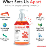 Hofseth BioCare Salmon Oil for Dogs 16.9 Fl.Oz.