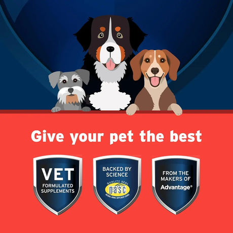 PET PROTECT - Pet Protect from The Makers of Advantage Vet-Formulated Hip & Joint for Dogs 120 Masticables - The Red Vitamin MX - Cuidado De Cadera Y Articulaciones Para Perros - {{ shop.shopifyCountryName }}