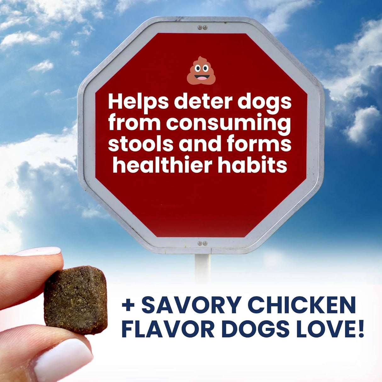 Under the Weather Pet No Poo Chews for Dogs 60 Masticables