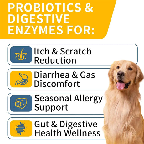 WONTECHMI - WONTECHMI Probiotics for Dogs Chicken 120 Masticables - The Red Vitamin MX - Probióticos Para Perros - {{ shop.shopifyCountryName }}