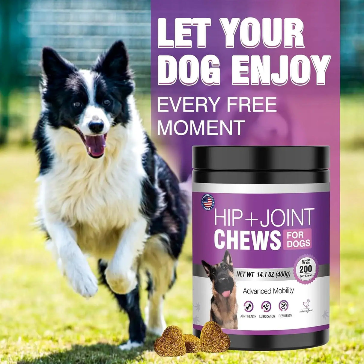 TTLXRL - TTLXRL Hip and Joint Glucosamine for Dogs 200 Masticables - The Red Vitamin MX - Cuidado De Cadera Y Articulaciones Para Perros - {{ shop.shopifyCountryName }}
