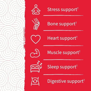 GARDEN OF LIFE - Garden of Life Dr Formulated Magnesium Citrate with Prebiotics & Probiotics 60 Gomitas - The Red Vitamin MX - Suplementos Alimenticios - {{ shop.shopifyCountryName }}
