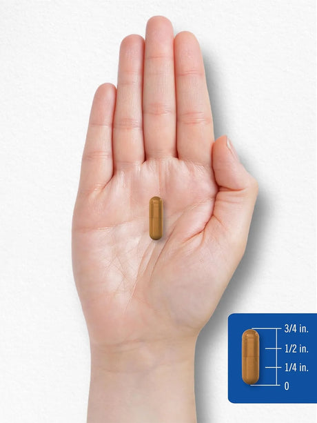 CARLYLE - Carlyle Vitamin B2 200Mg. 150 Capsulas - The Red Vitamin MX - Suplementos Alimenticios - {{ shop.shopifyCountryName }}