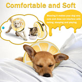 Cneo Recovery Donut Collar LEMON LARGE