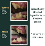 DRMOIS - DRMOIS Plaque Removal Natural Dental Powder 120Gr. - The Red Vitamin MX - Cuidado Dental Para Perros - {{ shop.shopifyCountryName }}