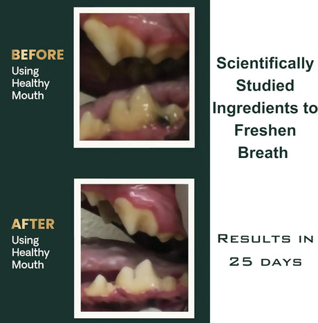 DRMOIS - DRMOIS Plaque Removal Natural Dental Powder 120Gr. - The Red Vitamin MX - Cuidado Dental Para Perros - {{ shop.shopifyCountryName }}