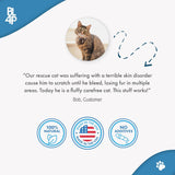 BestLife4Pets Cat Allergy Relief & Immune Support 400 Tabletas
