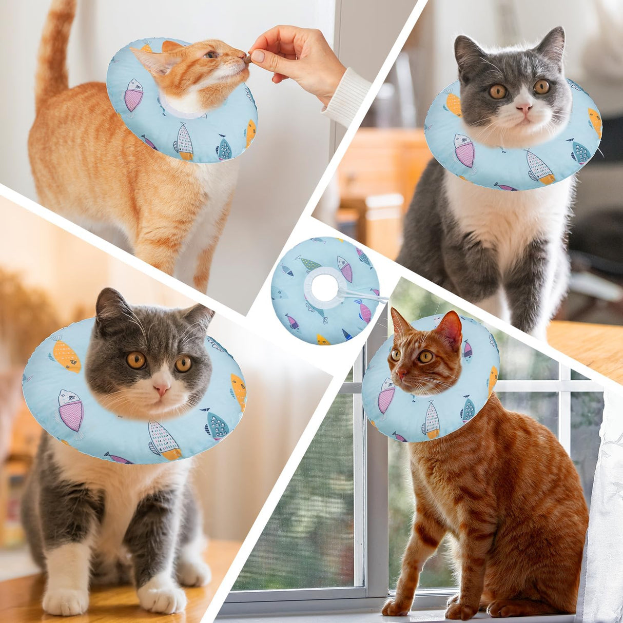 Seyezo Cat Cone Collar Soft Blue Fish Large