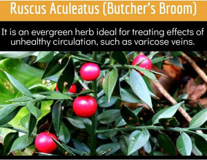 CLINICAL DAILY - Clinical Daily Blood Circulation 180 Capsulas - The Red Vitamin MX - Suplementos Alimenticios - {{ shop.shopifyCountryName }}