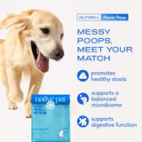 Native Pet GutWell Power Poop 60 Servicios 360Gr.
